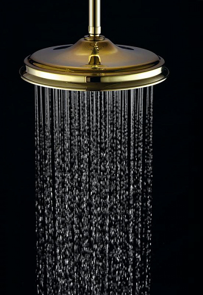 Верхняя душевая насадка Elghansa Shower Head CD-220-Gold